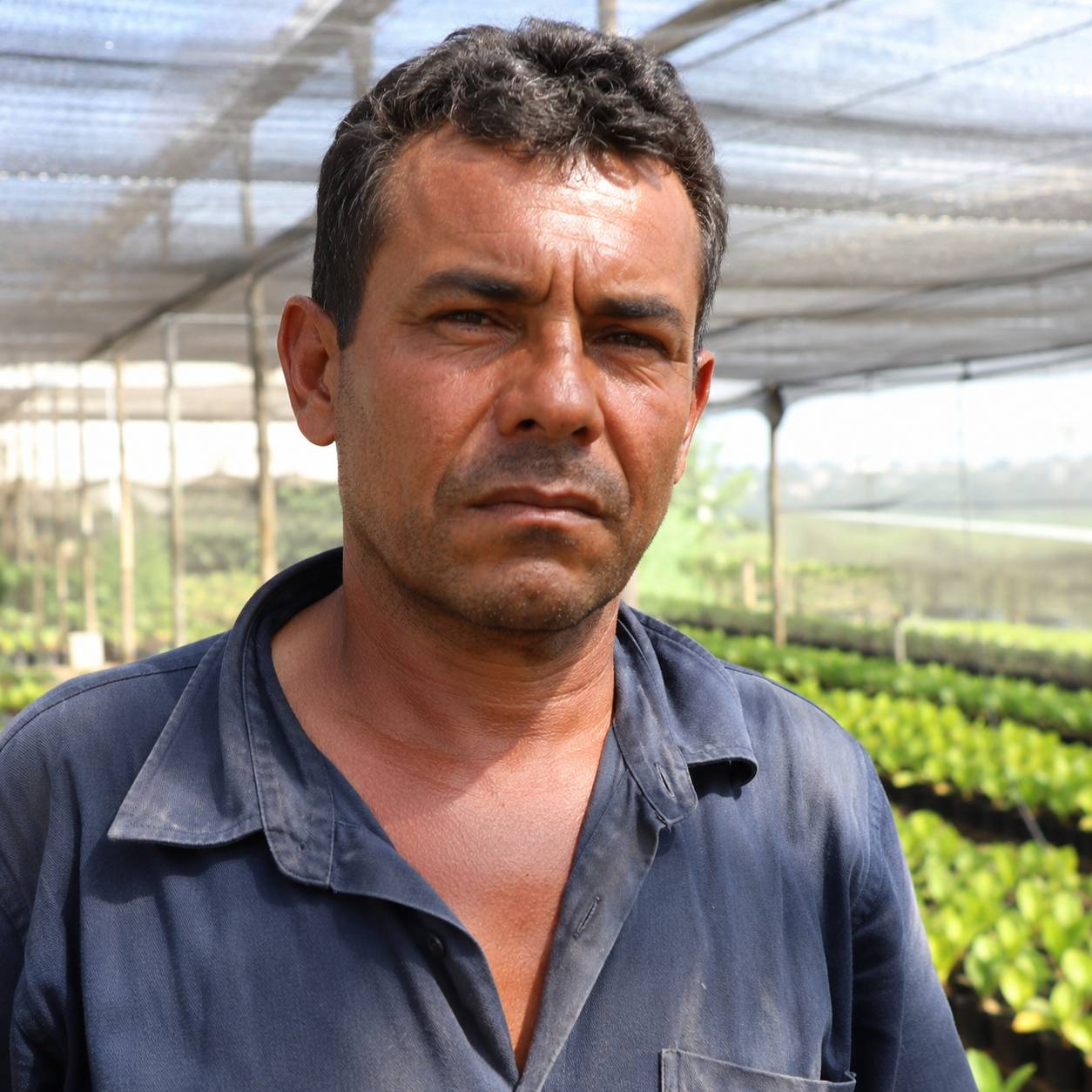 Retrato ilustrativo de jovem agricultor